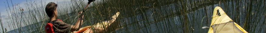 nautique